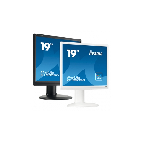 iiyama ProLite B1980D-W1, 48.3 cm (19''), white